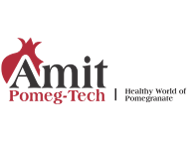 Automatic Multi Head Lug Capping Machine Exporter